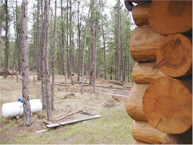 Trails End Lodge Custer Ruang foto